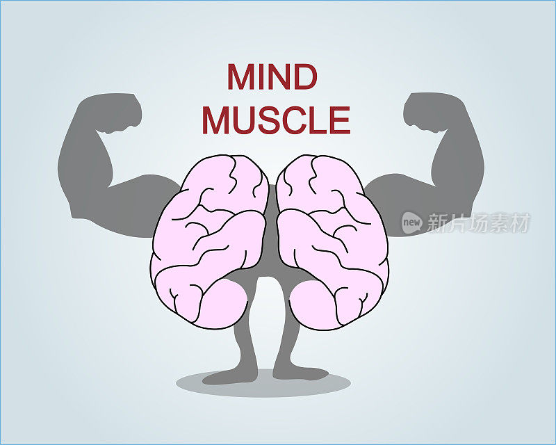 Strong Brain Isolated On Background.Vector